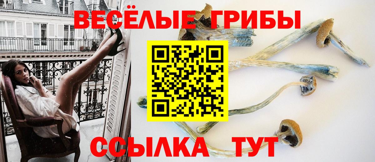 Псилоцибиновые грибы мухоморы Россия