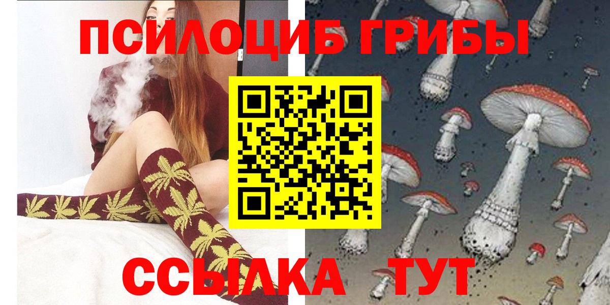 Россия  Псилоцибиновые грибы мицелий  Вход с VPN 
